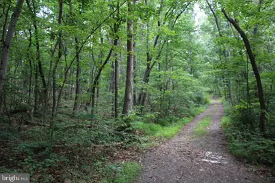 Habron Hollow Road, Fort Valley, VA 22652 - Photo 8