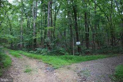 Habron Hollow Road, Fort Valley, VA 22652 - Photo 10