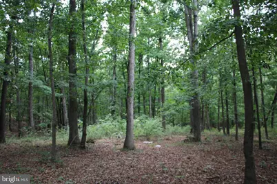 Habron Hollow Road, Fort Valley, VA 22652 - Photo 12