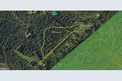 Habron Hollow Road, Fort Valley, VA 22652 - Photo 22