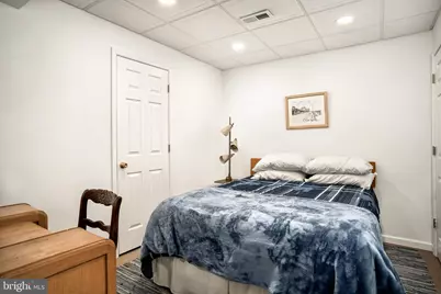 920 Old Buffalo, New Market, VA 22844 - Photo 22