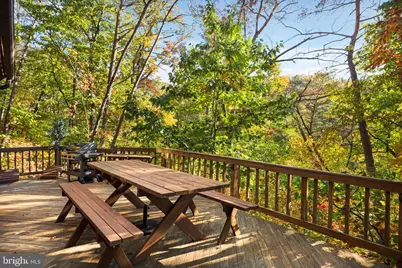 920 Old Buffalo, New Market, VA 22844 - Photo 26