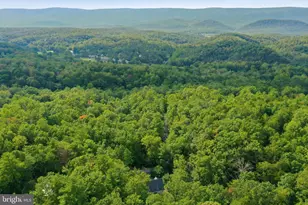 80 Sandpiper Dr, Basye, VA 22810 - Photo 42