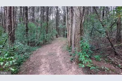 1272 Battlefield Road, Strasburg, VA 22657 - Photo 30