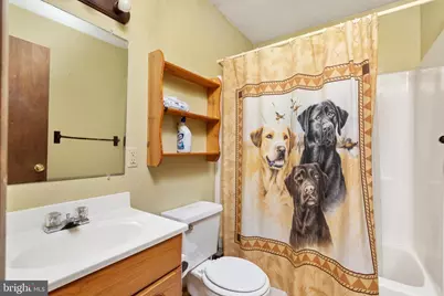 31 Willow Lane, Mount Jackson, VA 22842 - Photo 22