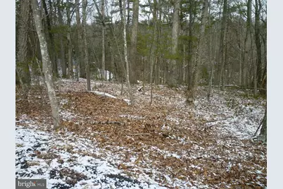 0 Brian Drive, Basye, VA 22810 - Photo 2