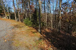 0 Brian Dr, Basye, VA 22810 - Photo 1