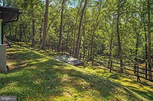 866 Old Bethel Rd, Edinburg, VA 22824 - Photo 38