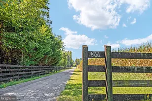 866 Old Bethel Rd, Edinburg, VA 22824 - Photo 48