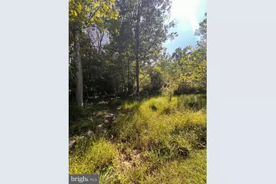 Lot 28 Cedar Lane, Woodstock, VA 22664 - Photo 4