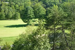 667 Nicklaus Dr, Basye, VA 22810 - Photo 6