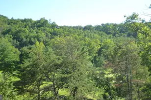 667 Nicklaus Dr, Basye, VA 22810 - Photo 10