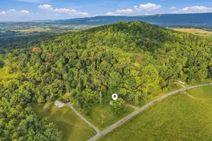 315 Mt Hebron Rd, Toms Brook, VA 22660 - Photo 38