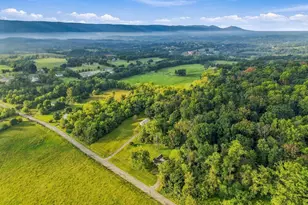 315 Mt Hebron Rd, Toms Brook, VA 22660 - Photo 40