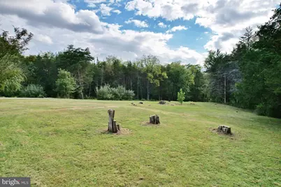 338 Calamus Lane, Strasburg, VA 22657 - Photo 36