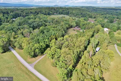 338 Calamus Lane, Strasburg, VA 22657 - Photo 44