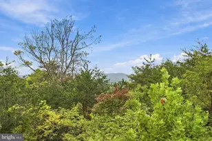 244 Tomahawk Ln, Edinburg, VA 22824 - Photo 14