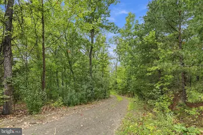 244 Tomahawk Lane, Edinburg, VA 22824 - Photo 36