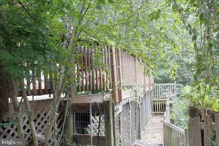 214 Rocky Mountain Ln, New Market, VA 22844 - Photo 46