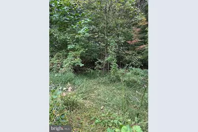 628 Kerns Mountain Lane, New Market, VA 22844 - Photo 60