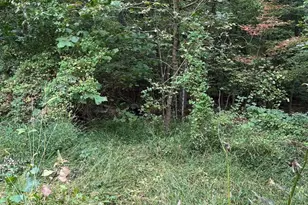 628 Kerns Mountain Ln, New Market, VA 22844 - Photo 60