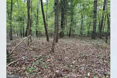 628 Kerns Mountain Lane, New Market, VA 22844 - Photo 56