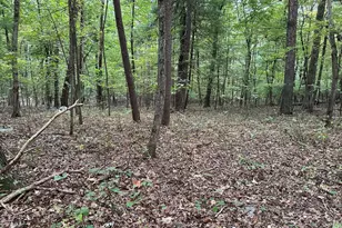 628 Kerns Mountain Ln, New Market, VA 22844 - Photo 56