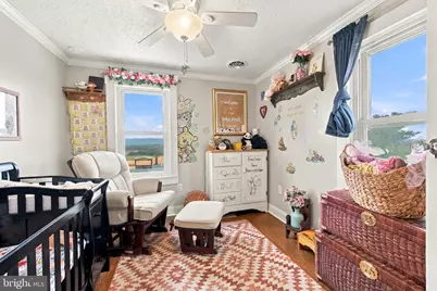 67 Lodge Hall Road, Mount Jackson, VA 22842 - Photo 24