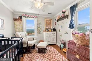 67 Lodge Hall Rd, Mount Jackson, VA 22842 - Photo 24
