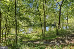 2306 Riverview Dr, Toms Brook, VA 22660 - Photo 36