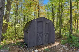 51 Sarah Ln, Basye, VA 22810 - Photo 44