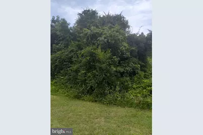 0 Lewis Estates Lane - Lot 4, Spotsylvania, VA 22551 - Photo 2