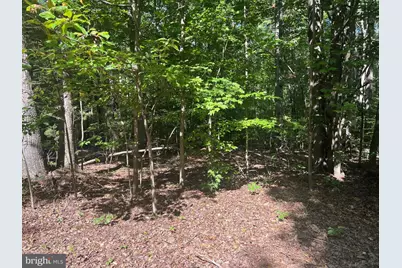 6028 Lost Cove Drive, Mineral, VA 23117 - Photo 12