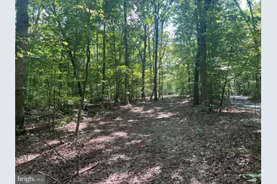 6028 Lost Cove Drive, Mineral, VA 23117 - Photo 16