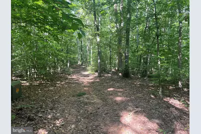 6028 Lost Cove Drive, Mineral, VA 23117 - Photo 14