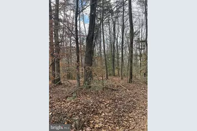 6317 Little Acres Lane, Woodford, VA 22580 - Photo 4