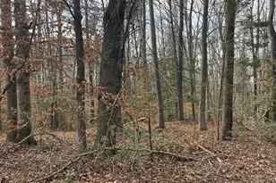 6317 Little Acres Ln, Woodford, VA 22580 - Photo 4