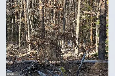 13009-13141 Lake Anna Village Drive, Spotsylvania, VA 22551 - Photo 6