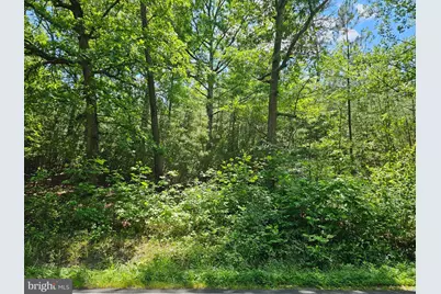 0 Mt Olive Road, Beaverdam, VA 23015 - Photo 1