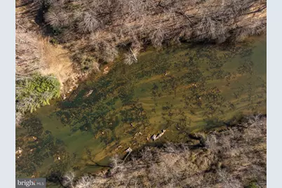 4 Dillard Road, Fredericksburg, VA 22407 - Photo 14