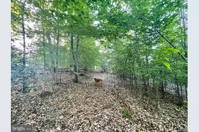 Lot 3 Deer Mountain Road, Fredericksburg, VA 22407 - Photo 12