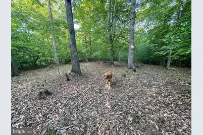 Lot 3 Deer Mountain Road, Fredericksburg, VA 22407 - Photo 14