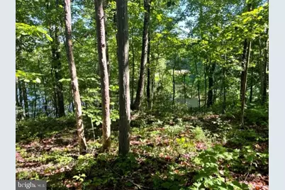 12511 Hawkins Lane, Spotsylvania, VA 22551 - Photo 4