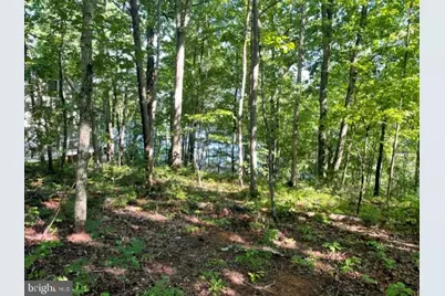 12511 Hawkins Lane, Spotsylvania, VA 22551 - Photo 6