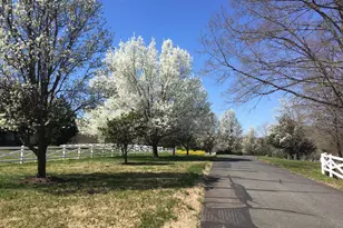 12520 Paige Ln, Fredericksburg, VA 22407 - Photo 104