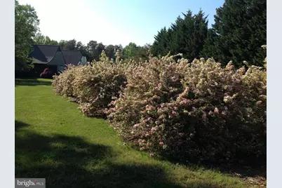 12520 Paige Lane, Fredericksburg, VA 22407 - Photo 106