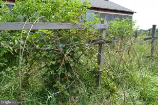 6830 Black Rock Dr, Spotsylvania, VA 22551 - Photo 60