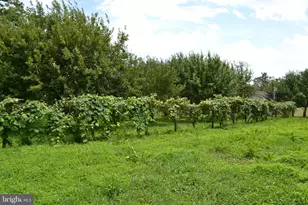 6830 Black Rock Dr, Spotsylvania, VA 22551 - Photo 36