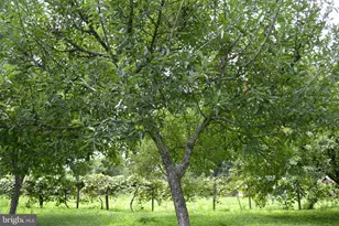 6830 Black Rock Dr, Spotsylvania, VA 22551 - Photo 34