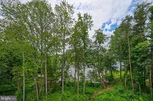 5727 Private Rd, Mineral, VA 23117 - Photo 78